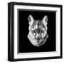 Mountain Lion Head-Lisa Kroll-Framed Art Print