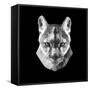 Mountain Lion Head-Lisa Kroll-Framed Stretched Canvas