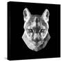 Mountain Lion Head-Lisa Kroll-Stretched Canvas