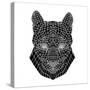 Mountain Lion Mesh-Lisa Kroll-Stretched Canvas