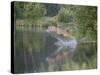 Mountain Lion or Cougar Jumping into the Water, in Captivity, Sandstone, Minnesota, USA-James Hager-Stretched Canvas