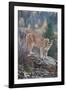 Mountain Lion-DLILLC-Framed Photographic Print