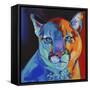 Mountain Lion-Corina St. Martin-Framed Stretched Canvas