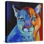 Mountain Lion-Corina St. Martin-Stretched Canvas