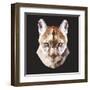 Mountain Lion-Lora Kroll-Framed Art Print