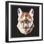 Mountain Lion-Lora Kroll-Framed Premium Giclee Print