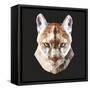 Mountain Lion-Lora Kroll-Framed Stretched Canvas
