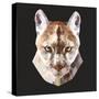 Mountain Lion-Lora Kroll-Stretched Canvas