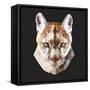 Mountain Lion-Lora Kroll-Framed Stretched Canvas