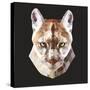 Mountain Lion-Lora Kroll-Stretched Canvas