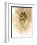 Mountain Lion-null-Framed Giclee Print