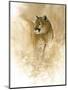 Mountain Lion-null-Mounted Giclee Print