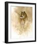 Mountain Lion-null-Framed Giclee Print