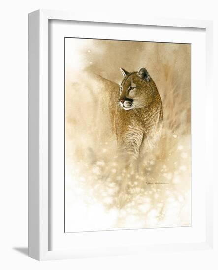 Mountain Lion-null-Framed Giclee Print