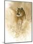 Mountain Lion-null-Mounted Giclee Print