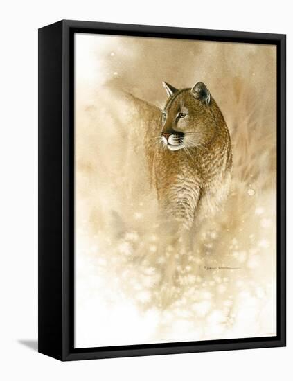 Mountain Lion-null-Framed Stretched Canvas