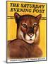 "Mountain Lions," Saturday Evening Post Cover, September 25, 1937-August Schombrug-Mounted Giclee Print