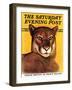 "Mountain Lions," Saturday Evening Post Cover, September 25, 1937-August Schombrug-Framed Giclee Print