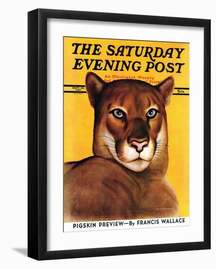 "Mountain Lions," Saturday Evening Post Cover, September 25, 1937-August Schombrug-Framed Giclee Print