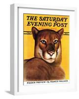 "Mountain Lions," Saturday Evening Post Cover, September 25, 1937-August Schombrug-Framed Giclee Print