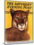 "Mountain Lions," Saturday Evening Post Cover, September 25, 1937-August Schombrug-Mounted Giclee Print