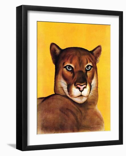 "Mountain Lions,"September 25, 1937-August Schombrug-Framed Giclee Print