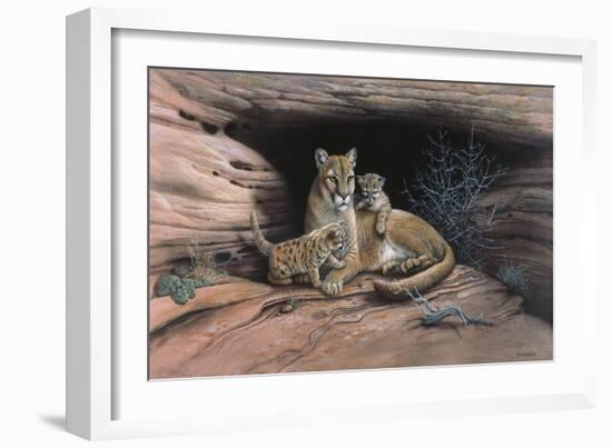 Mountain Lions-Harro Maass-Framed Giclee Print