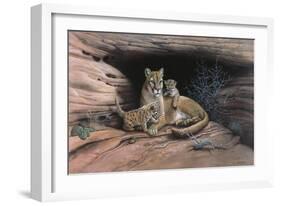 Mountain Lions-Harro Maass-Framed Giclee Print