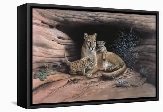 Mountain Lions-Harro Maass-Framed Stretched Canvas
