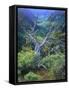 Mountain Mahogany Snags and Sagebrush, Steens Mountain National Recreation Lands, Oregon, USA-Scott T. Smith-Framed Stretched Canvas