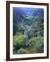 Mountain Mahogany Snags and Sagebrush, Steens Mountain National Recreation Lands, Oregon, USA-Scott T. Smith-Framed Photographic Print