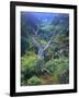 Mountain Mahogany Snags and Sagebrush, Steens Mountain National Recreation Lands, Oregon, USA-Scott T. Smith-Framed Photographic Print