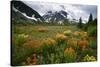 Mountain Meadow, Canada-David Nunuk-Stretched Canvas