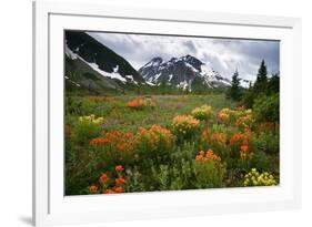 Mountain Meadow, Canada-David Nunuk-Framed Photographic Print