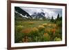 Mountain Meadow, Canada-David Nunuk-Framed Photographic Print