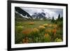 Mountain Meadow, Canada-David Nunuk-Framed Photographic Print