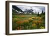 Mountain Meadow, Canada-David Nunuk-Framed Photographic Print