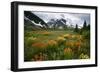 Mountain Meadow, Canada-David Nunuk-Framed Photographic Print