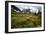 Mountain Meadow, Canada-David Nunuk-Framed Photographic Print