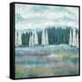 Mountain Meadow Colors-James Zheng-Framed Stretched Canvas