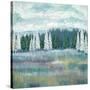 Mountain Meadow Colors-James Zheng-Stretched Canvas