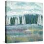 Mountain Meadow Colors-James Zheng-Stretched Canvas