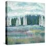 Mountain Meadow Colors-James Zheng-Stretched Canvas