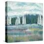 Mountain Meadow Colors-James Zheng-Stretched Canvas