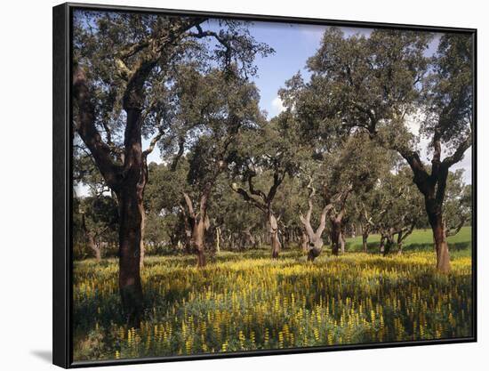 Mountain Meadow-Thonig-Framed Photographic Print