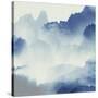 Mountain Mist 2-Kimberly Allen-Stretched Canvas