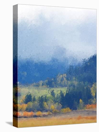 Mountain Mist II-Chris Vest-Stretched Canvas
