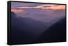 Mountain Mist-Steve Gadomski-Framed Stretched Canvas