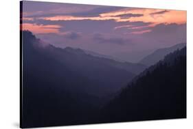 Mountain Mist-Steve Gadomski-Stretched Canvas