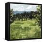 Mountain Moment II-Victoria Borges-Framed Stretched Canvas